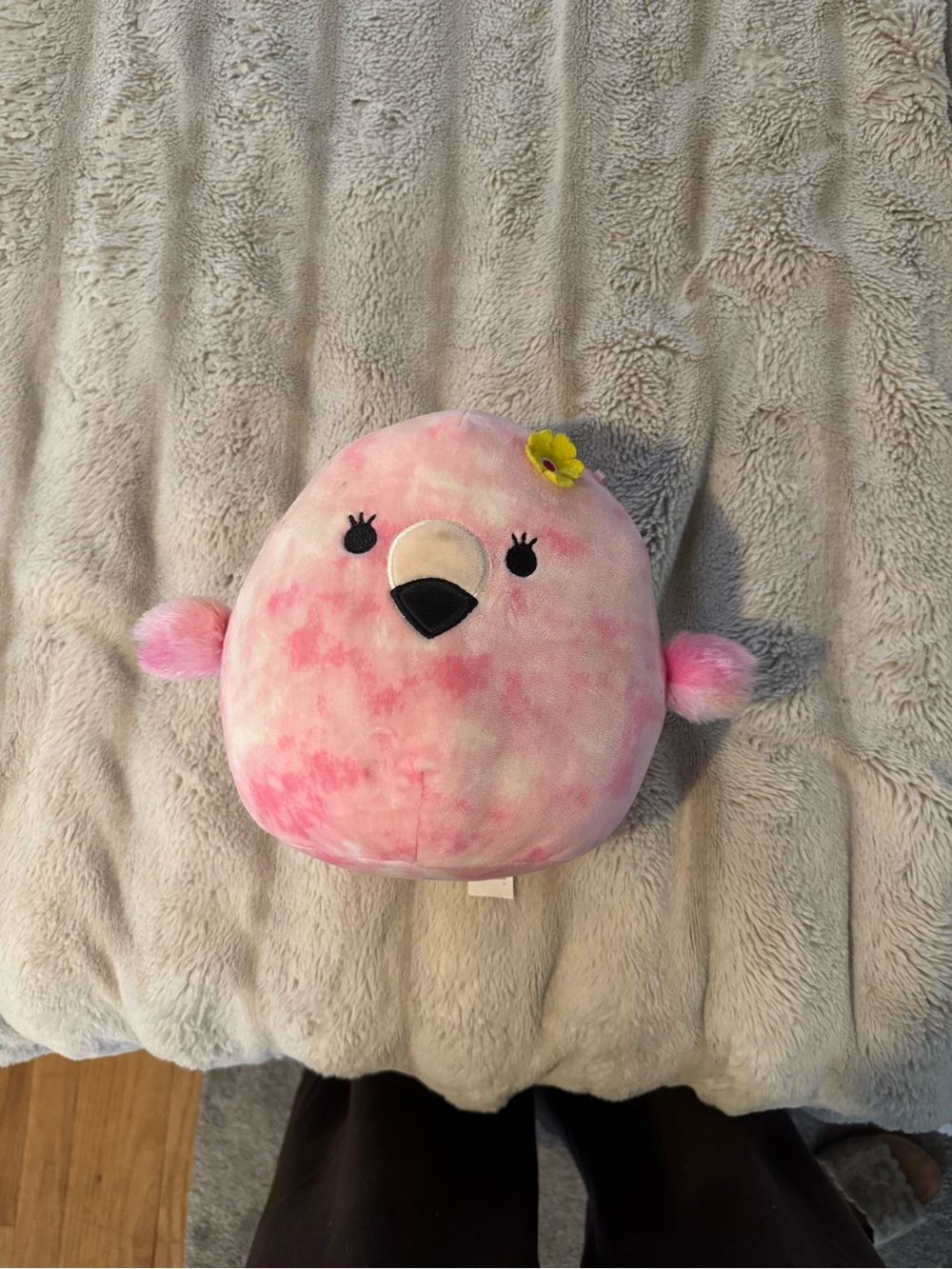 cookie the pink flamingo